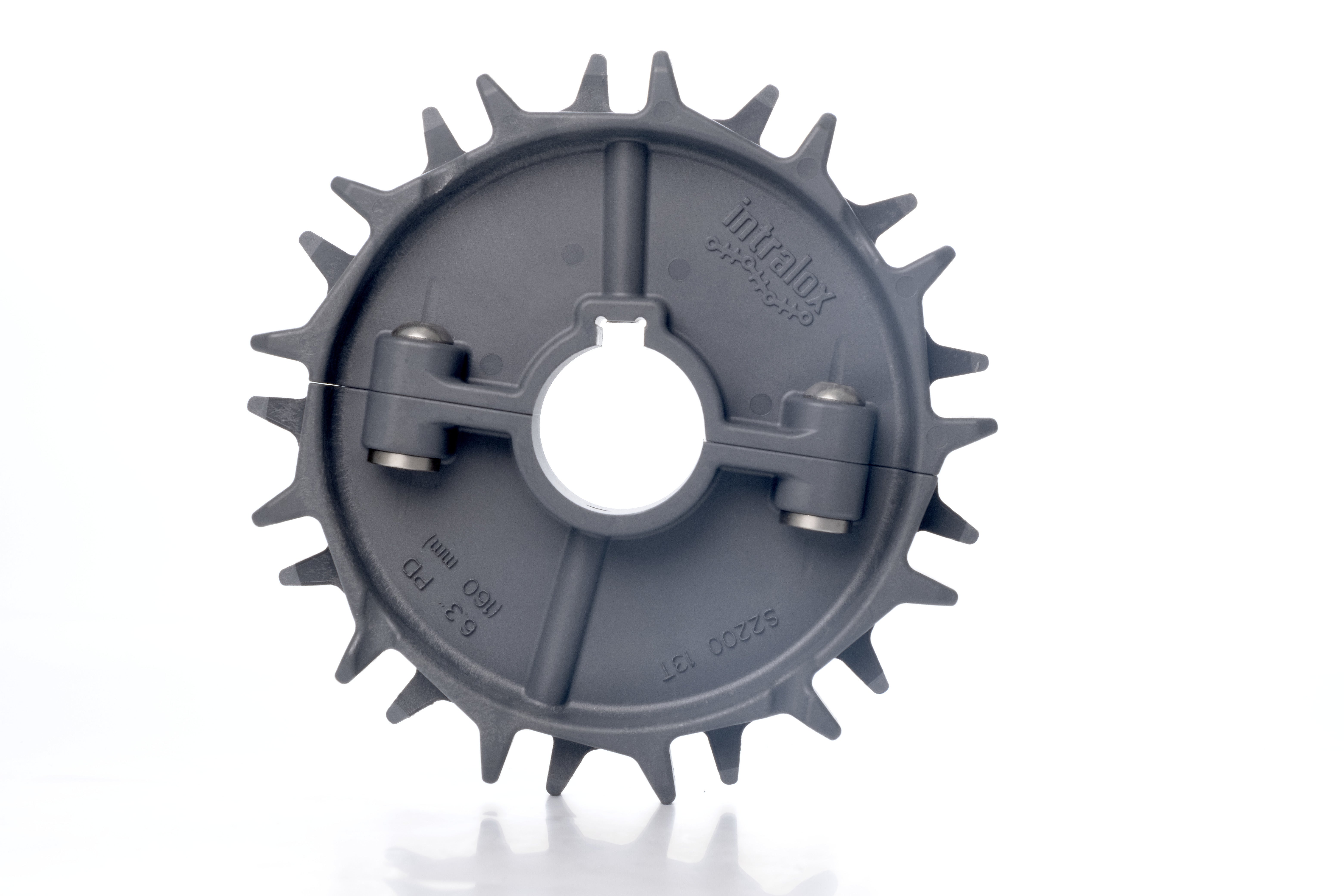 Serie 2200 Geteiltes Zahnrad aus glasfaserverstärktem Nylon | Belt